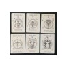 LA VOIE DU ZODIAC