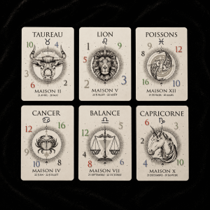 LA VOIE DU ZODIAC