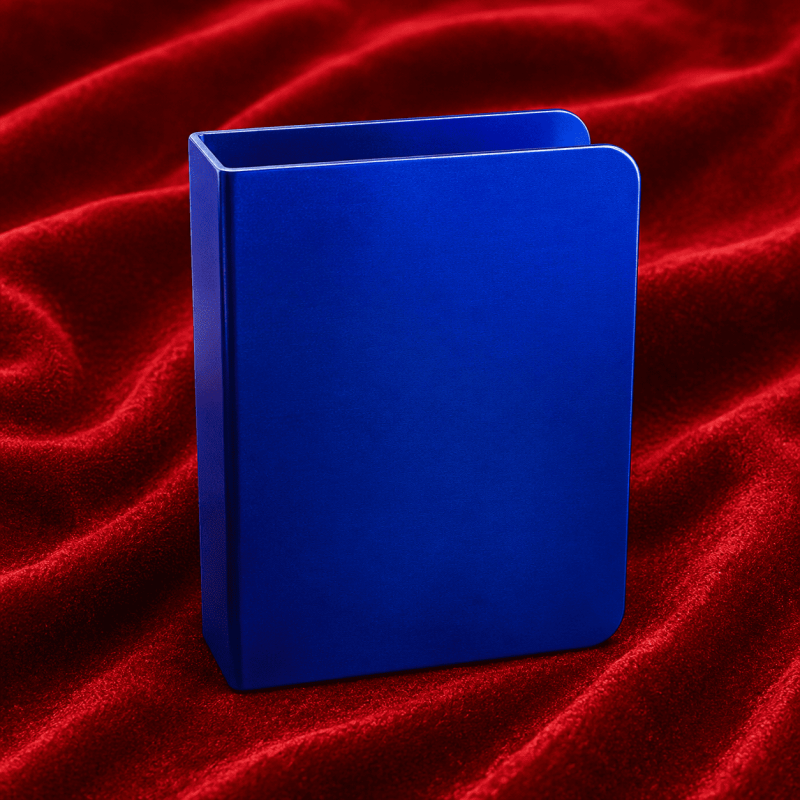 CLIP POUR CARTES PRO BLEU