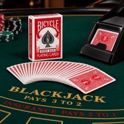 JEU BICYCLE RIDER BACK ROUGE